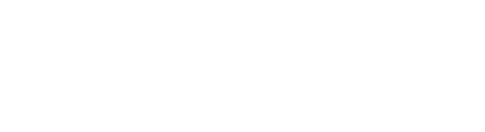 Talmira System